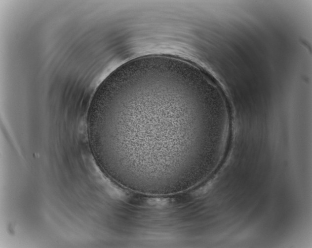X0000099471521200805161059