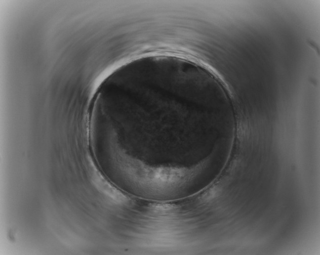 X0000099471522200805161059
