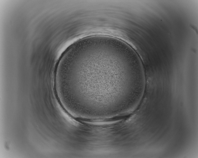 X0000099471523200805161059