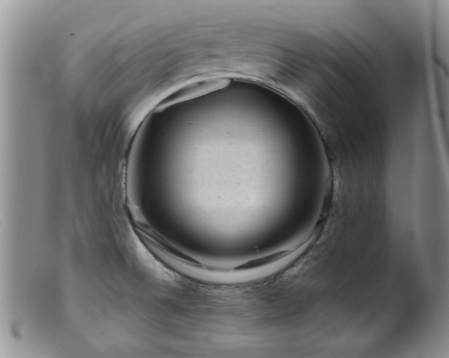 X0000099471524200805161059