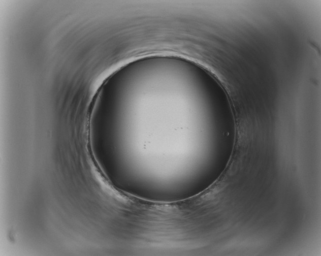 X0000099471526200805161059
