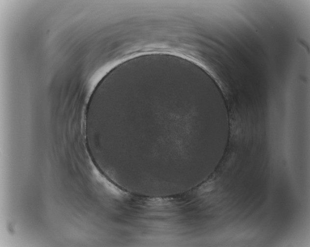 X0000099471527200805161059