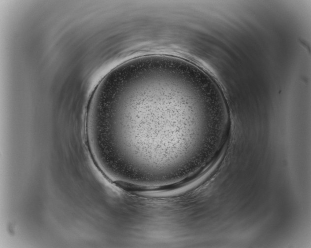 X0000099471528200805161059