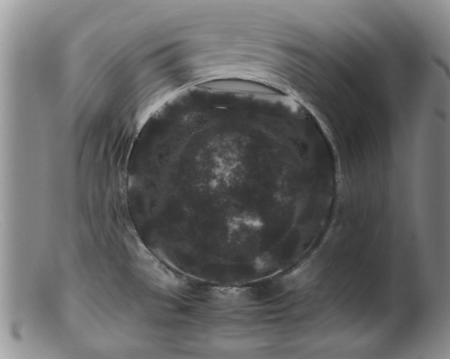 X0000099471529200805161059