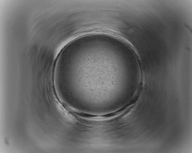 X0000099471530200805161059