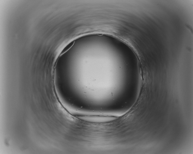 X0000099471532200805161059