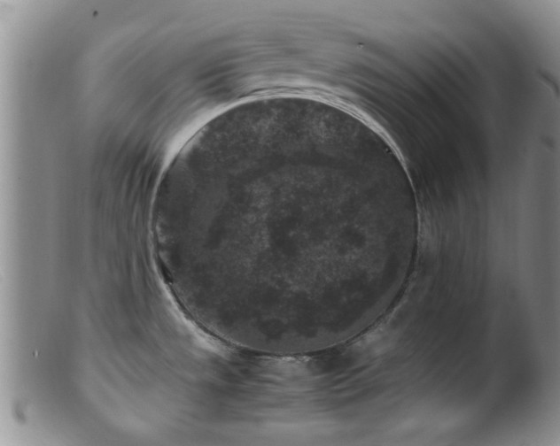 X0000099471533200805161059