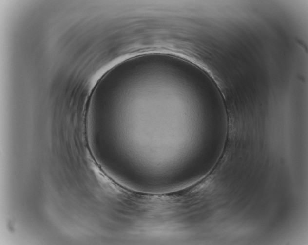 X0000099471534200805161059