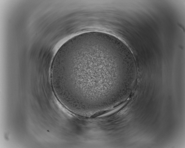 X0000099471535200805161059