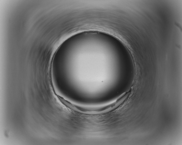 X0000099471536200805161059
