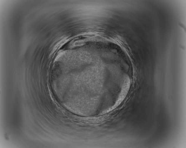 X0000099470001200805231842