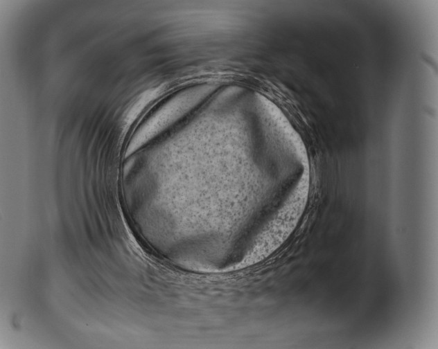 X0000099470003200805231841