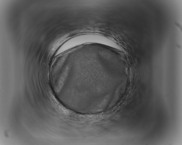 X0000099470005200805231841