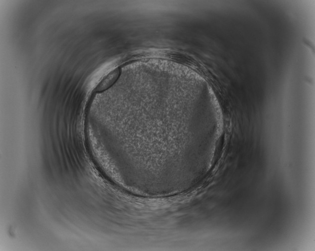 X0000099470006200805231841