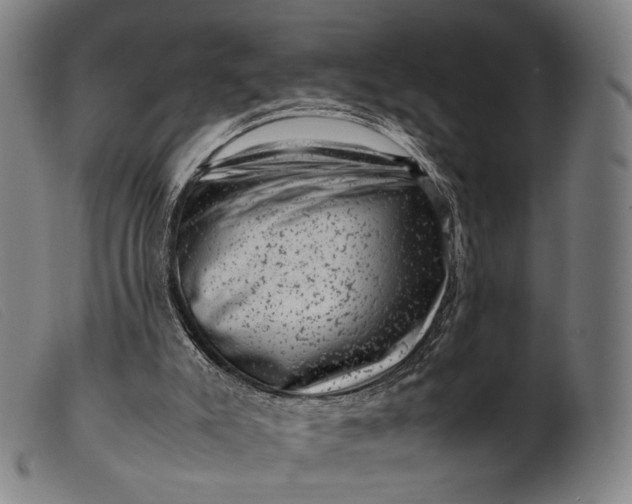 X0000099470007200805231841