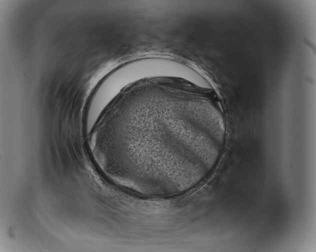 X0000099470008200805231841