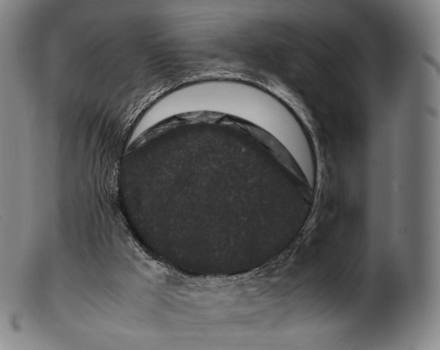 X0000099470009200805231841