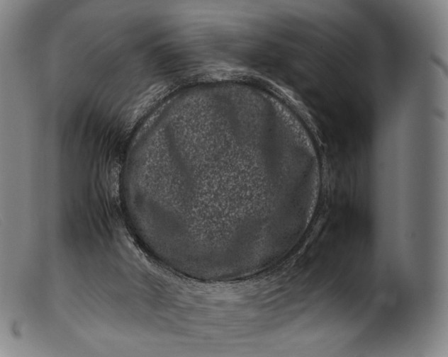 X0000099470010200805231841