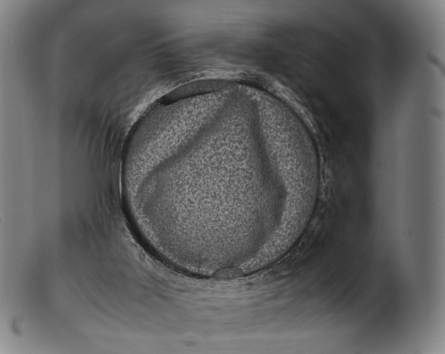 X0000099470011200805231841