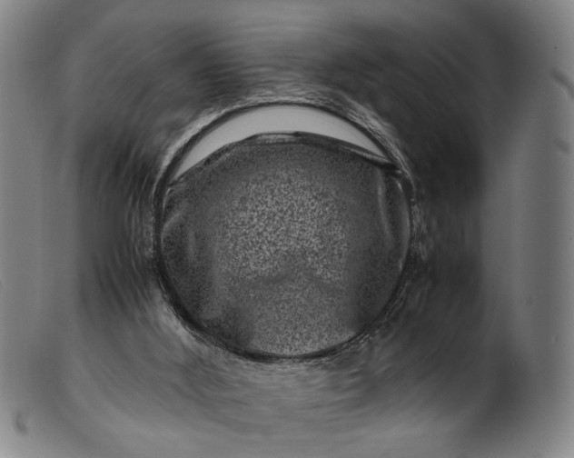 X0000099470012200805231841