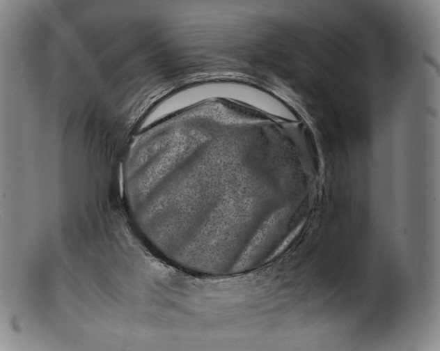 X0000099470013200805231841