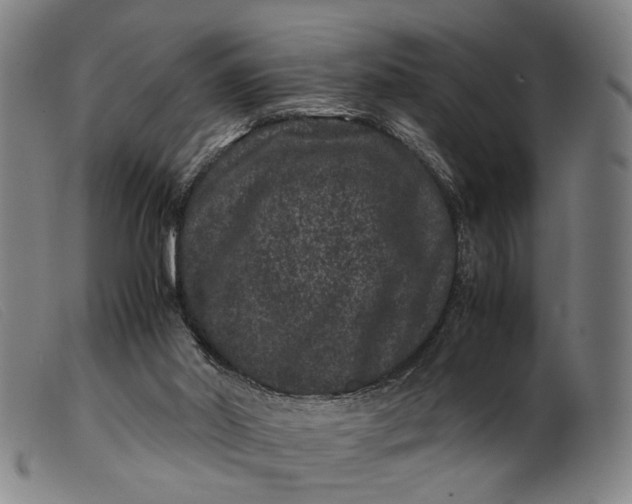 X0000099470014200805231841