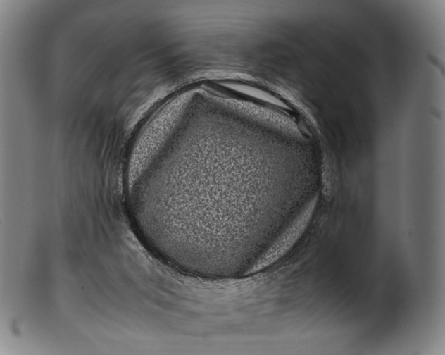 X0000099470015200805231841