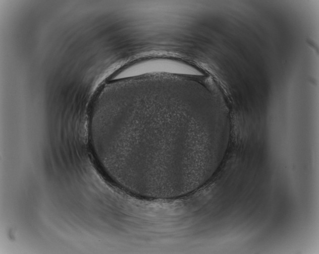 X0000099470016200805231841