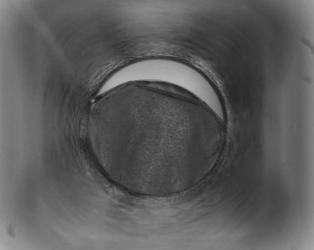 X0000099470017200805231841