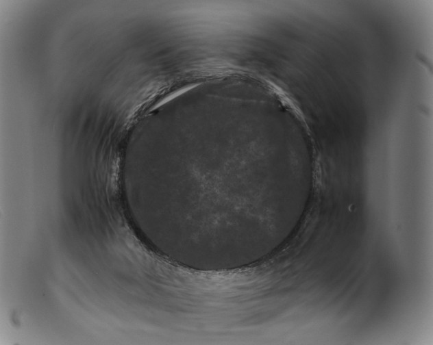 X0000099470018200805231841