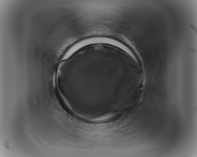 X0000099470019200805231841