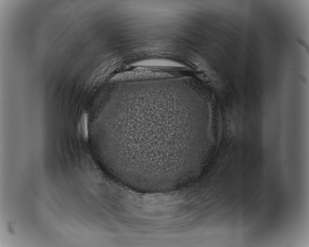 X0000099470022200805231841