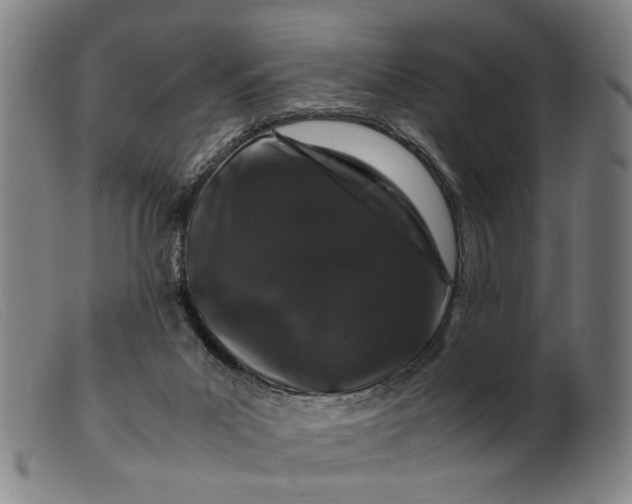 X0000099470023200805231841