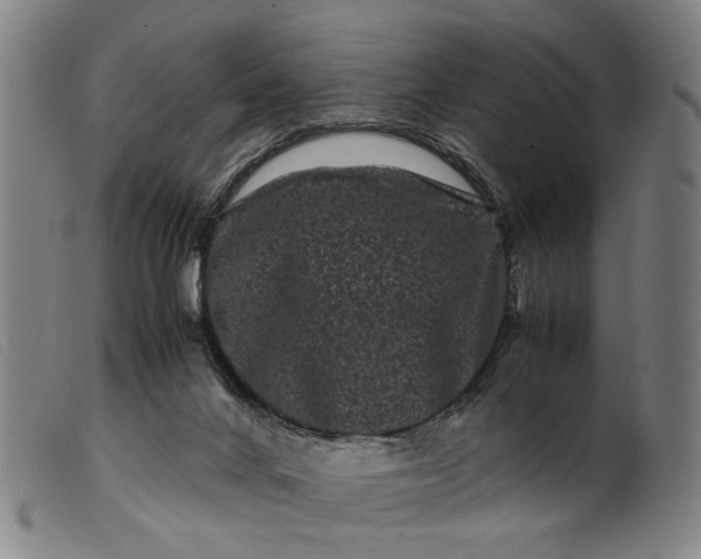 X0000099470024200805231841