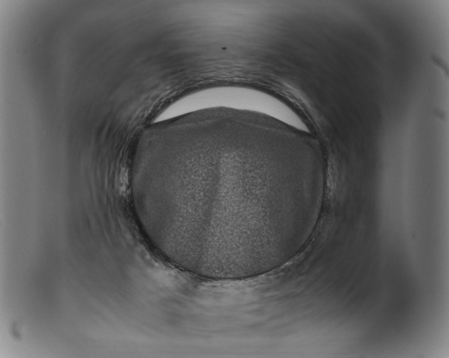 X0000099470025200805231841