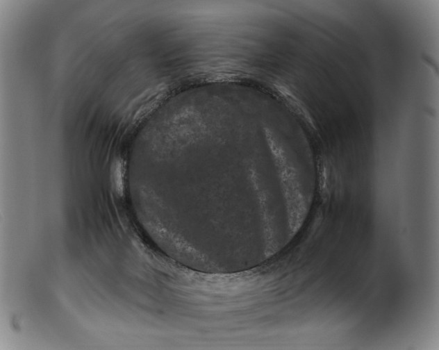 X0000099470026200805231841