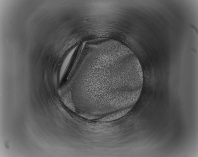 X0000099470028200805231841