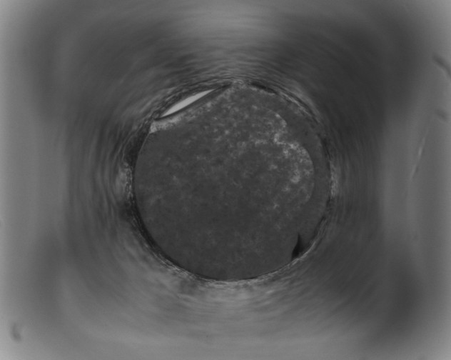 X0000099470029200805231841