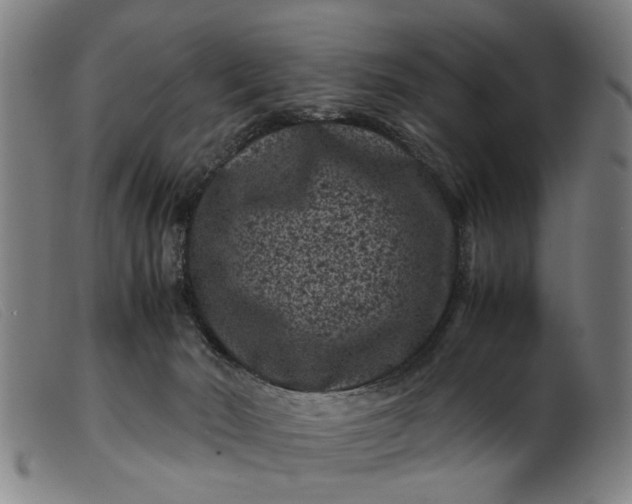 X0000099470030200805231841