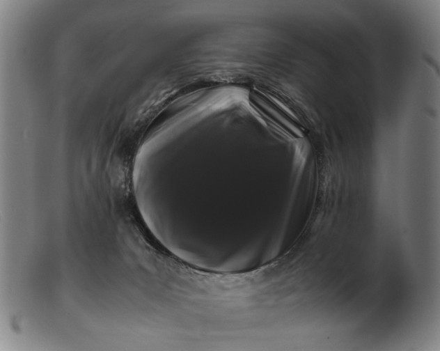 X0000099470031200805231841