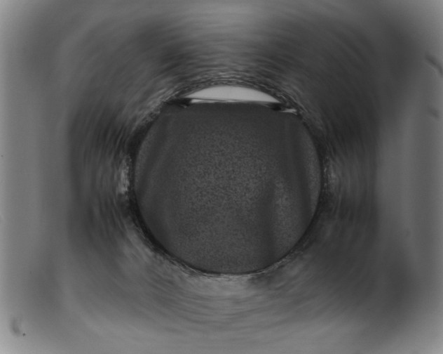 X0000099470032200805231841