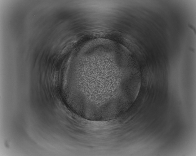 X0000099470034200805231841