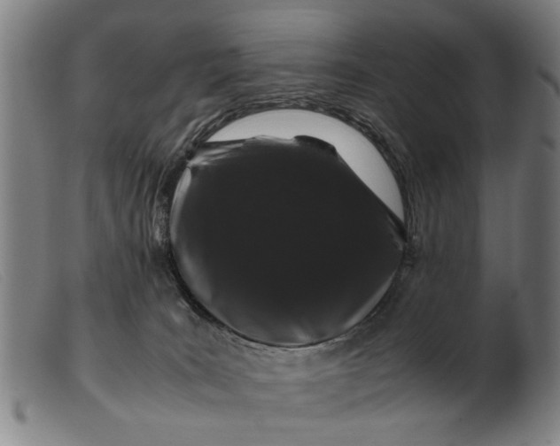 X0000099470035200805231841