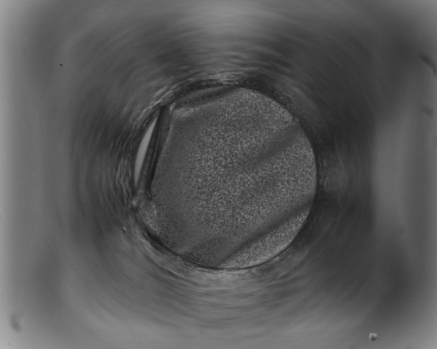 X0000099470036200805231841