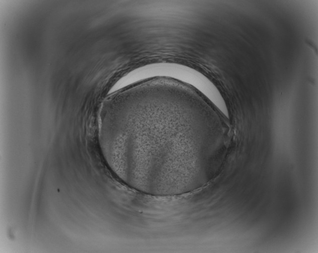 X0000099470037200805231841