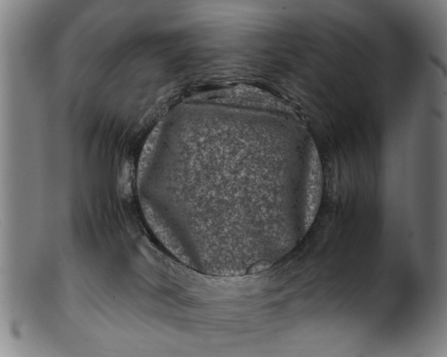 X0000099470038200805231841