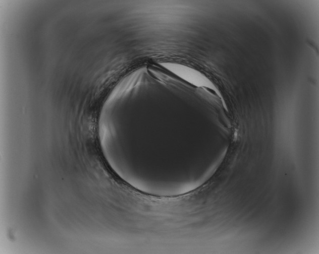 X0000099470039200805231841