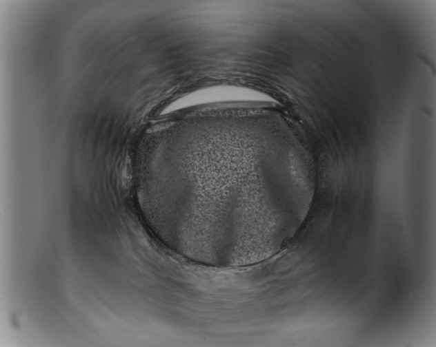 X0000099470040200805231841