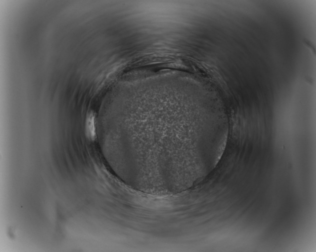 X0000099470042200805231841