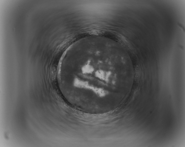 X0000099470043200805231841